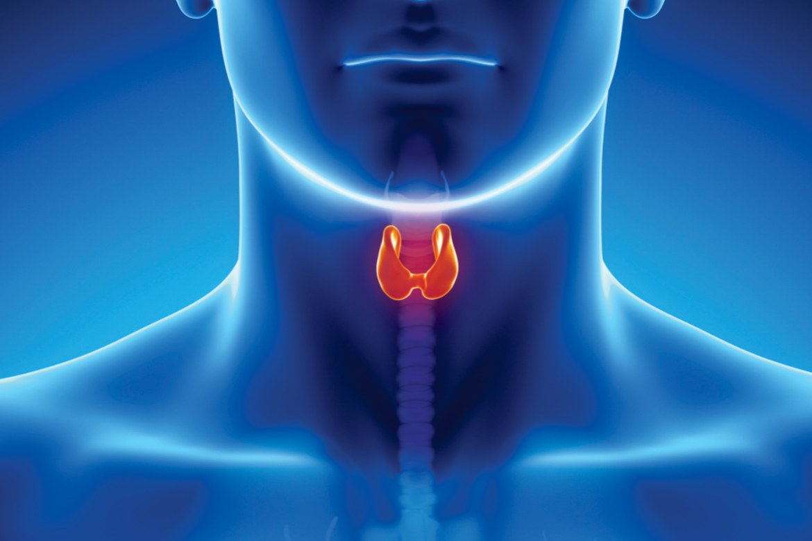 Thyroid-image